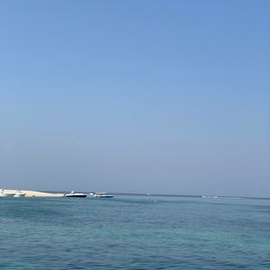 Meet your Posher, May